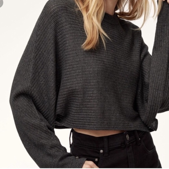 Aritzia Sweaters - Wilfred Lolan slouch crop sweater L dk grey